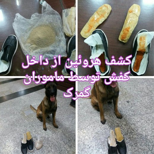 عکس | کشف ۴۰۰ گرم هرویین جاسازی شده در کفش مسافر عکس | کشف ۴۰۰ گرم هرویین جاسازی شده در کفش مسافر