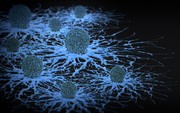 حمله به سلول‌های سرطانی با ویروس‌های انکولوتیک