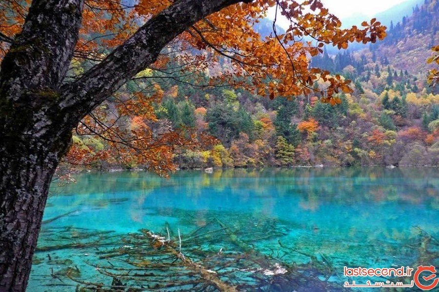 دریاچه پنج گل، پارک ملی جیوژیو در چین