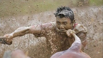 مسابقه گاو سواری در اندونزی