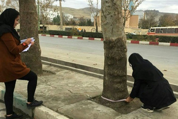 درختان شهر سنندج شناسنامه‌دار می‌شوند