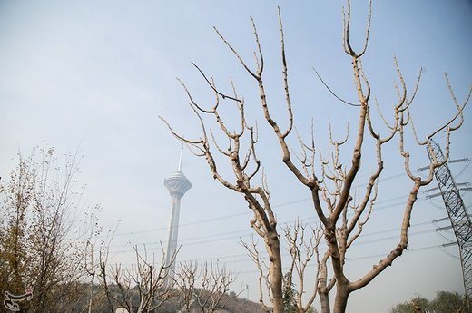 آلودگی هوای تهران