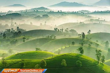 برترین تصاویر ارسال شده به مسابقه عکاسی سونی