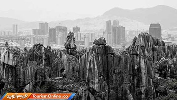 برترین تصاویر ارسال شده به مسابقه عکاسی سونی