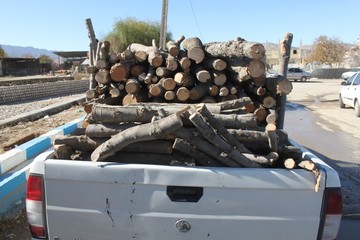 کشف بیش از ۲ تن چوب قاچاق درخت جنگلی بلوط در شهرستان لردگان