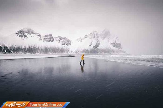 برترین تصاویر ارسال شده به مسابقه عکاسی سونی