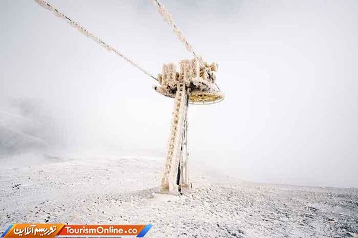 برترین تصاویر ارسال شده به مسابقه عکاسی سونی