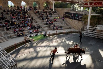 کشتی با گاو در چین
