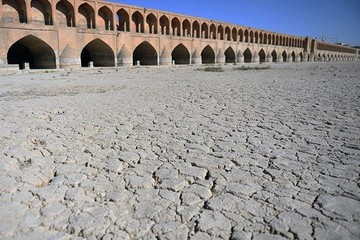 سازمان محیط زیست وضعیت درختان اصفهان را نمی‌بیند/ مرگ اصفهان در پی بی‌آبی