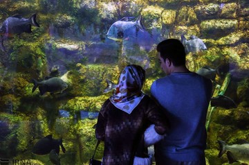 مجموعه تفریحی و گردشگری آکواریوم ایران در انزلی