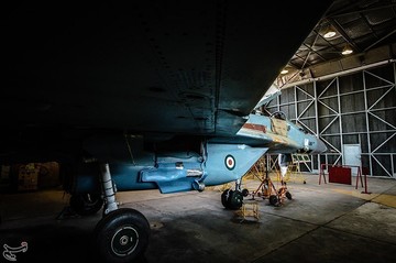 اورهال میگ ۲۹