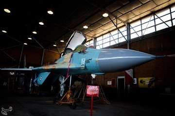 اورهال میگ ۲۹