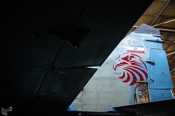 اورهال میگ ۲۹