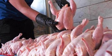 عرضه مرغ منجمد ۸۹۰۰ تومانی در بازار/ عرضه گوشت گوسفند ۴۰ هزار تومانی در تهران