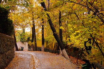 پاییز