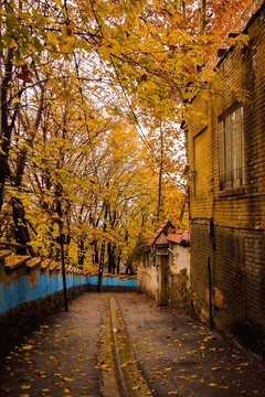 پاییز