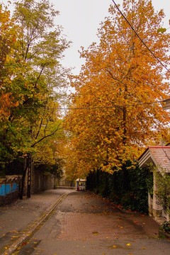 پاییز