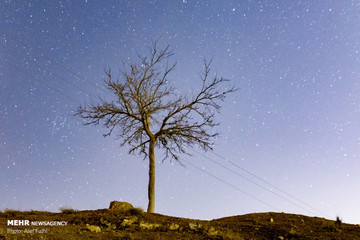 بارش شهابی جوزایی