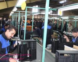 تحقق ۷۷ درصدی برنامه «افزایش تولید» صنایع دراستان چهارمحال‌وبختیاری 