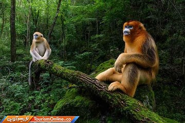 عکس های برتر سفر در سال2018