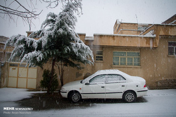 بارش برف در سنندج