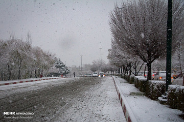 بارش برف در سنندج