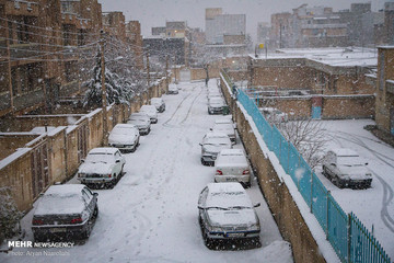 بارش برف در سنندج