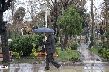 بارش باران در تهران