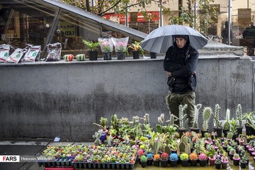 بارش باران در تهران