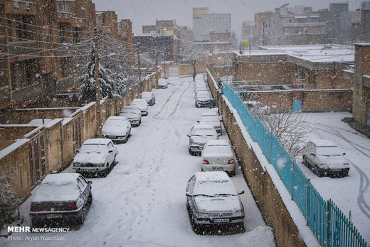 بارش برف در سنندج
