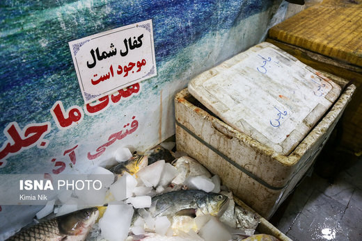گشت سازمان تعزیرات حکومتی به مناسبت شب یلدا