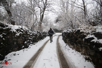 بارش برف در همدان