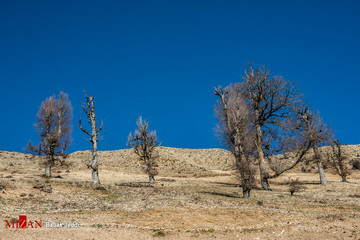 ییلاقات ماسال در آستانه زمستان