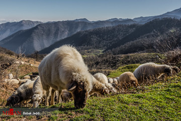 ییلاقات ماسال در آستانه زمستان