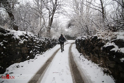 بارش برف در همدان