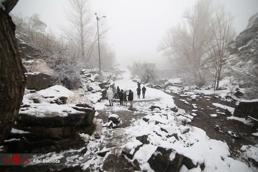 بارش برف در همدان