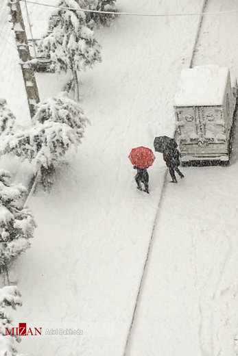 بارش برف در همدان
