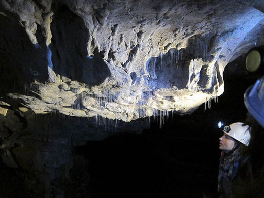 غارهای وایتومو نیوزیلند