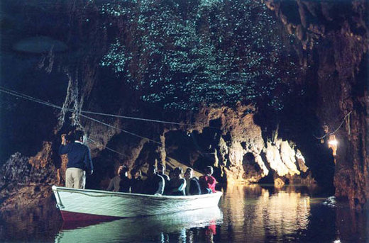 غارهای وایتومو نیوزیلند