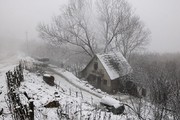 تصاویر | بارش برف در ییلاقات گیلان