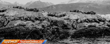 آمریکای جنوبی
