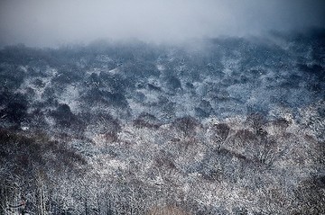 بارش برف در مازندران