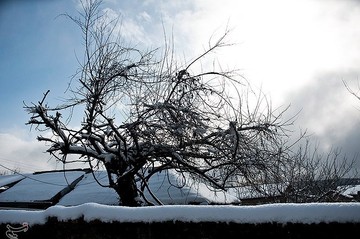 بارش برف در مازندران