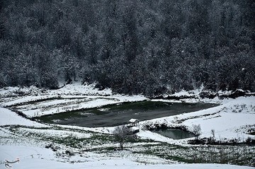 بارش برف در مازندران