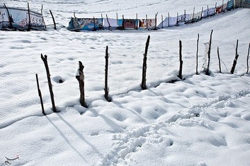 بارش برف در مازندران