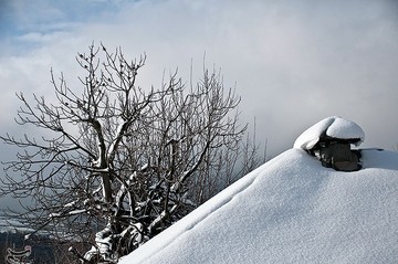 بارش برف در مازندران
