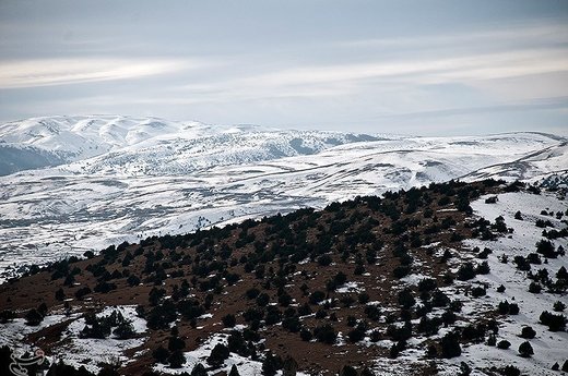 بارش برف در مازندران