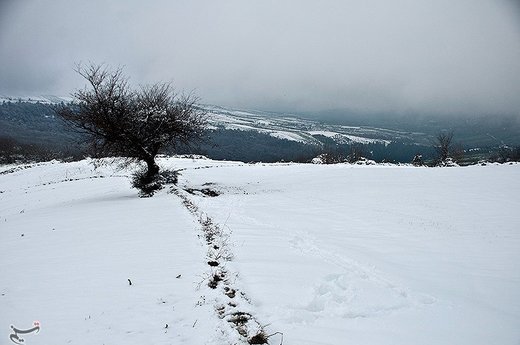 بارش برف در مازندران