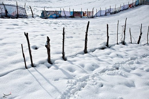 بارش برف در مازندران