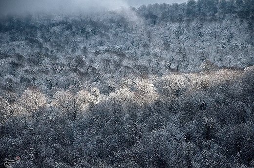 بارش برف در مازندران